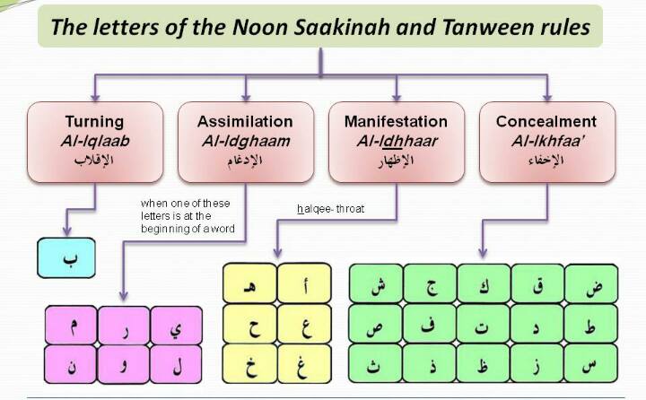 letters of Noon Sakinah and Tanween rules