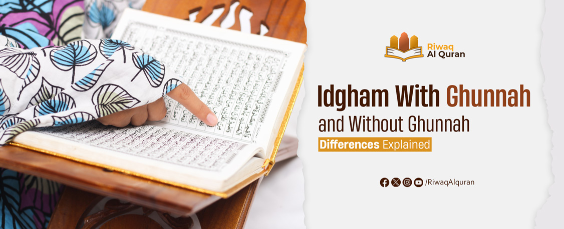 Idgham Kamil Vs Idgham Naqis (Mutamathilain, Mutajanisain And Mutaqaribain) - Full Guide In Tajweed (the rules of proper recitation of the Quran), Idgham refers to the merging of one letter or sound into another. It is one of the rules that govern the way certain letters should be pronounced when they occur next to each other. A main categorization of Idgham is Idgham Kamil and Idgham Naqis. Relevant to this, is another categorization of Idgham: Mutamathilain, Mutajanisain, and Mutaqaribain. In this article, we will provide a full guide that explains these two main types: Idgham Kamil and Idgham Naqis. We will define each type and give examples of them from the Quran and everyday Arabic speech. Then, we will examine the other three relevant sub-types of Idgham: Mutamathilain, Mutajanisain, and Mutaqaribain. What Is Idgham Kamil? Linguistically, Idgham Kamil means complete Idgham. It refers to the complete merging of a letter into the next letter. In this case, the first letter is completely merged into the second one. To be complete [Kamil], Idgham needs to have two conditions: 1- The first letter must be completely dropped, 2- There is no characteristic feature of the first letter heard after it is merged into the next letter. Sign Of Idgham Kamil In The Quran In the Quran, Idgham Kamil’s sign is that the first letter (which is Sakin) has NO Sukon (ْ) above it and has nothing above or under it, and the following letter has a stressed sign [Shada] (ّ) along with the other accompanying Harka [Fatha (َ), Kasra (ِ), or Damma (ُ)]. Examples Of Idgham Kamil This type of Idgham is vital both for proper Quran recitation and correct pronunciation in everyday speech. Please see below examples of both cases. An Example From The Quran: “بَل رَّفَعَهُ ٱللَّهُ إِلَيْهِ” (Quran, 4:158) Here, the first Sakin letter “ل” in “بل” is completely dropped as if the reciter is saying “برفعه”. An Example From Everyday Arabic Speech: "قد تذهب الفتاة” Here, the first Sakin letter “د” in “قد” is completely dropped as if the person is saying “قتذهب”. What Is Idgham Naqis? The other type is Idgham Naqis. Linguistically, Idgham Naqis means incomplete Idgham. It refers to the merging of a letter into the next letter. However, the first letter is not completely merged into the second one, and there is still a feature of it being heard. To be incomplete, Idgham needs to have two conditions: 1- The first letter must be dropped, 2- There is a characteristic feature of the first letter still heard after the letter is merged into the following one. This can be Ghunnah, Elevation (raising of the tongue), etc. Sign Of Idgham Naqis In The Quran In the Quran, Idgham Naqis’ sign is that the first letter (which is Sakin) has NO Sukon (ْ) above it and has nothing above or under it, and the following letter has NO stressed sign [Shada] (ّ), but only the Harka [Fatha (َ), Kasra (ِ), or Damma (ُ)]. Examples Of Idgham Naqis This type of Idgham is so important to perfect both for correct Quran recitation and everyday spoken language. Please see below examples of both cases. An Example From The Quran: “مَن يَعْمَلْ سُوٓءًۭا يُجْزَ بِهِ” (Quran, 4:123) Here, the first Sakin letter “ن” in “من” is dropped. However, it is not completely merged into the second one, and there is still a feature of it being heard. That is the Ghunnah which is kept for two Harakat. An Example From Everyday Arabic Speech: “من يشرب اللبن يقوى جسمه” Here again, the Noon sound (ن) is dropped, but the Ghunnah is kept for two Harakat. Other Sub-Types Of Idgham Both types of Idgham (Kamil and Naqis) have 3 sub-types that have to do with two important factors: 1- Place of articulation 2- Characteristic(s) of the letter These sub-types are: Mutamathilain, Mutajanisain, and Mutaqaribain. Please see below the slight, yet very important differences and similarities between them. 1. Idgham Mutamathilain This kind of Idgham occurs when the first Sakin letter and the second Mutahrik letter are the same. That’s why it is called Mutamathilain (two identical letters). The reason is that the letter has the same place of articulation and characteristics. Examples of Idgham Mutamathilain: There are several examples from the Quran of this type of Idgham. Please see below two examples: "ٱذْهَب بِّكِتَـٰبِى" (Quran, 27:28) “أَيْنَمَا تَكُونُوا۟ يُدْرِككُّمُ ٱلْمَوْتُ” (Quran, 4:78) Here, Idgham has to be implemented by dropping the Baa (ب) sound and the Kaa (ك) sound, respectively. Exception: Idgham is not implemented when the first letter is one of Madd (Vowel Lengthening) letters: Waw (و), Yaa (ي), and Alif (ا). The reason is that while the letter looks the same as the following letter, it has a different place of articulation. Example from the Quran: "ءَامَنُوا۟ وَعَمِلُوا۟" (Quran, 5:93) Here, the place of articulation for the first Waw sound in "آمنوا" is from the oral cavity (the throat), while the following Waw sound in the “وعملوا” comes from the lips. That’s why Idgham should not be implemented here. 2. Idgham Mutajanisain This kind of Idgham occurs when the first Sakin letter and the second Mutahrik letter have the same place of articulation, but different features. That’s why it is called Mutajanisain (two similar letters). Examples Of Idgham Mutajanisain There are several examples from the Quran of this type of Idgham. Please see below two examples: " يَـٰبُنَىَّ ٱرْكَب مَّعَنَا" (Quran, 11:42) "هَمَّت طَّآئِفَتَانِ" (Quran, 3:122) In these parts of the verses, Idgham should be implemented, and it is Idgham Mutajanisain Kamil (a complete Idgham of two similar letters). So the “ب” sound in “اركب” and the “ت” sound in “همت” should be dropped, respectively. When should Idgham Mutajanisain Naqis be Implemented? Idgham Mutajanisain Naqis should be implemented when a feature of the first letter (to be dropped) is still there. For example: "لَئِنۢ بَسَطتَ إِلَىَّ يَدَكَ" (Quran, 5:28) In the word “بَسَطتَ”, the ط letter and the ت letter have the same place of articulation, but different features. One of the features of the first Sakin letter (ط) is Elevation (الاستعلاء). This means that the tongue must be raised so that the ط sound is pronounced correctly. the ط sound is dropped, while its Elevation feature is kept. So, it is called Idgham Mutajanisain Naqis (incomplete Idgham of two similar letters). 3. Idgham Mutaqaribain This kind of Idgham occurs when the first Sakin letter and the second Mutahrik letter have a close place of articulation and some different features. That’s why it is called Mutaqaribain (two close letters). Examples of Idgham Mutaqaribain "مِن لَّدُنَّا" (Quran, 20:99) "بَلْ رَانَ" (Quran, 83:14) Here, Idgham has to be completely implemented by dropping the Noon (ن) sound and the Laa (ل) sound, respectively. The Main Differences Between The Idgham Kamil And Idgham Naqis Now, let’s make the main differences between Idgham Kamil and Idgham Naqis more visualized by pointing them out in a table form. Difference Idgham Kamil Idgham Naqis Definition It refers to the complete merging of a letter into the next letter, with no feature of the first letter still heard. It refers to the merging of a letter into the next letter. However, there is still a feature of the first letter heard. Conditions 1- The first letter must be completely dropped, 2- There is no characteristic feature of the first letter heard after it is merged into the following letter. 1- The first letter must be dropped, 2- There is a characteristic feature of the first letter still heard after it is merged into the following letter. This can be Ghunnah, Elevation (raising of the tongue). etc. Sign In The Quran The first Sakin letter has nothing above or under it, and the following letter has a stressed sign [Shada] (ّ) along with the other accompanying Harka [Fatha (َ), Kasra (ِ), or Damma (ُ)]. The first Sakin letter has nothing above or under it, and the following letter has NO stressed sign [Shada] (ّ), but only the Harka [Fatha (َ), Kasra (ِ), or Damma (ُ)] Examples “مِّن رَّبِّهِ” (Quran, 10:20) Here, the Noon (ن) sound in (من) is dropped along with the Ghunnah. So there is no trace of ن sound heard at all. There is a Shada (ّ) above the second Mutahrik letter along with the accompanying Harka. “مَن يَعْمَلْ سُوٓءًۭا يُجْزَ بِهِ” (Quran, 4:123) Here, the Noon (ن) sound in (من) is dropped and a Ghunnah is kept for two Harakat. The Main Differences Between The Three Sub-Types Of Idgham Now, let’s see the main differences between Idgham Mutamatsilain, Idgham Mutajanisain, And Idgham Mutaqaribain in the following table. Difference Idgham Mutamathilain Idgham Mutajanisain Idgham Mutaqaribain Definition It occurs when the first Sakin letter and the second Mutahrik letter are the same (of course with the same features and place of articulation). It occurs when the first Sakin letter and the second Mutahrik letter have the same place of articulation, but different features. It occurs when the first Sakin letter and the second Mutahrik letter have a close place of articulation and some different features. Examples "ٱضْرِب بِّعَصَاكَ ٱلْبَحْرَ" (Quran, 26:63) "هَمَّت طَّآئِفَتَانِ" (Quran, 3:122) "بَلْ رَانَ" (Quran, 83:14) Conclusion To sum up, Idgham is a very important rule for the correct recitation of the Quran. There are several main types and sub-types of Idgham based on the relationship between the letters involved. Each type has distinct characteristics that contribute to the clarity and beauty of Quranic recitation. All these types need to be carefully studied for a smoother and more fluid recitation of the Quran.