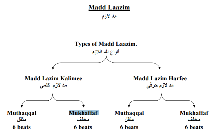 The Compulsory Lengthening.