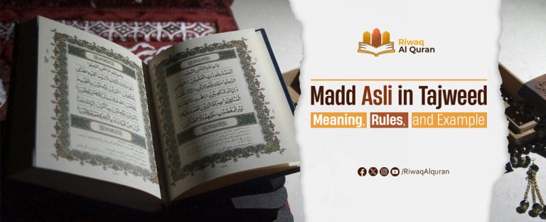 madd asli