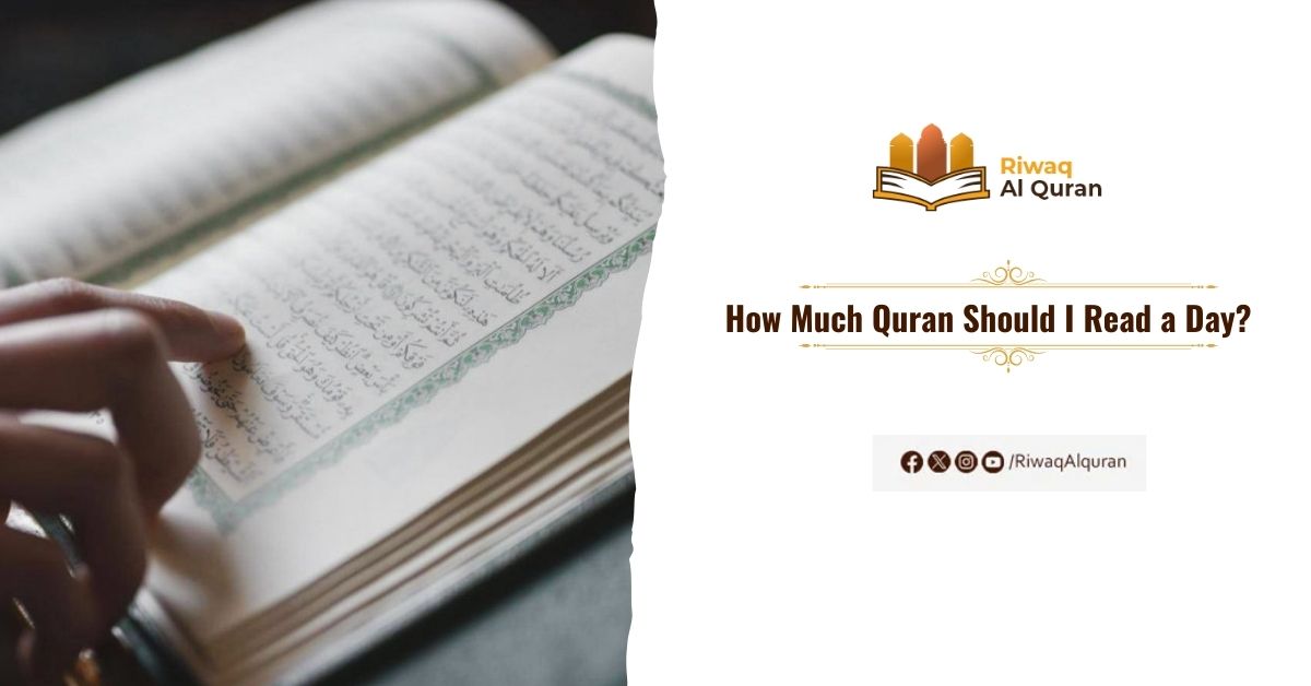 How Much Quran Should I Read a Day