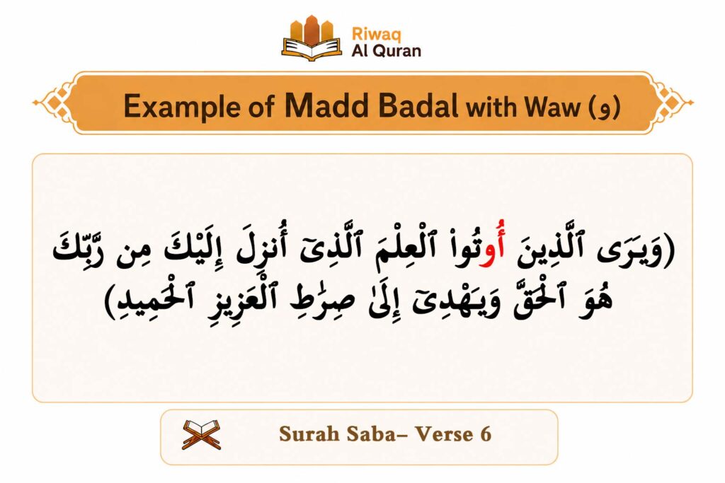 What Is Madd Badal? Rules, Examples And How To Apply 5 Madd Badal