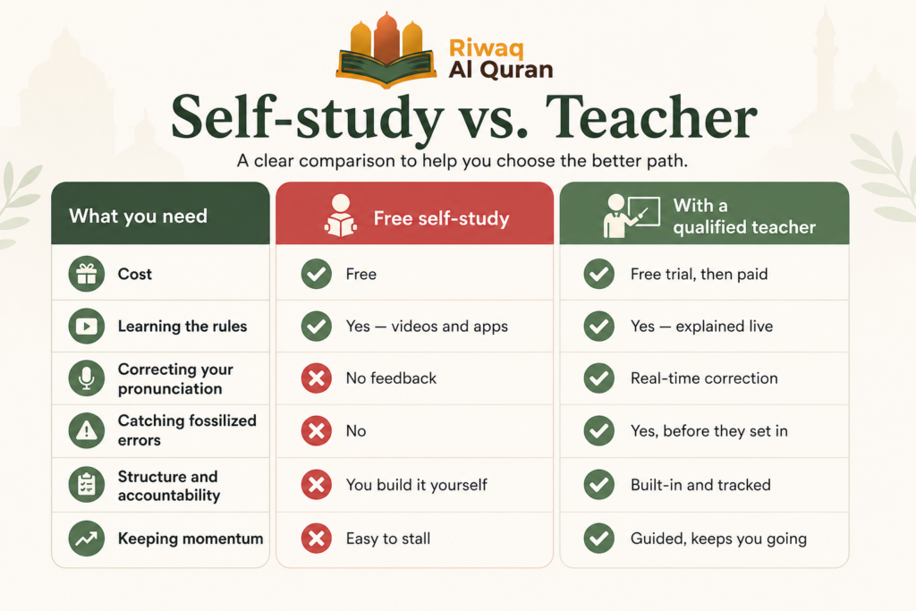 Free Quran Learning Online - The Complete Beginner's Roadmap to Learn Quran for Free 2 image 237