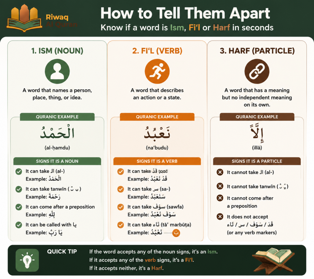 Quranic Arabic Grammar (Nahw) - The Complete Guide with Quranic Examples 1 image 243