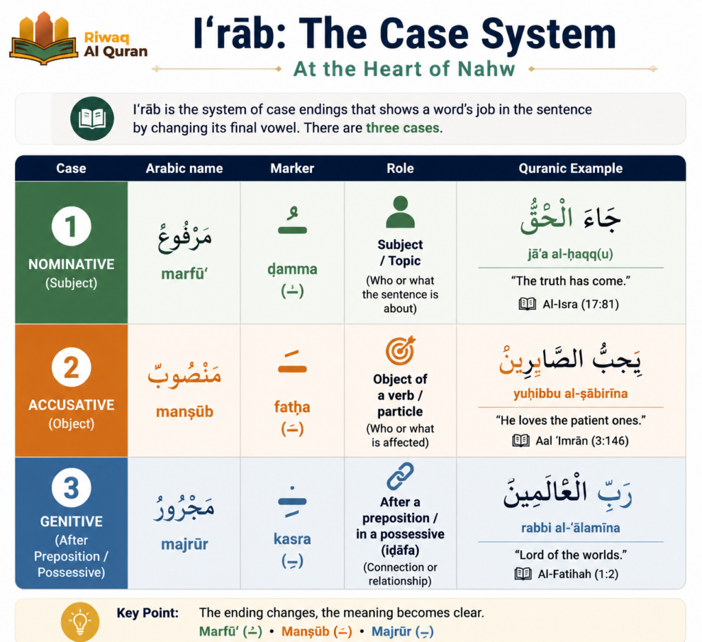 Quranic Arabic Grammar (Nahw) - The Complete Guide with Quranic Examples 5 image 245