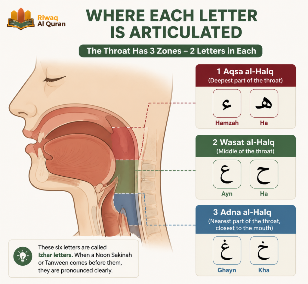 Izhar in Tajweed - Types, Rules, Common Mistakes & How to Practice 1 image 266