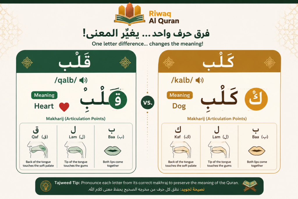 The Importance and Benefits of Tajweed Every Muslim Should Know 2 image 366