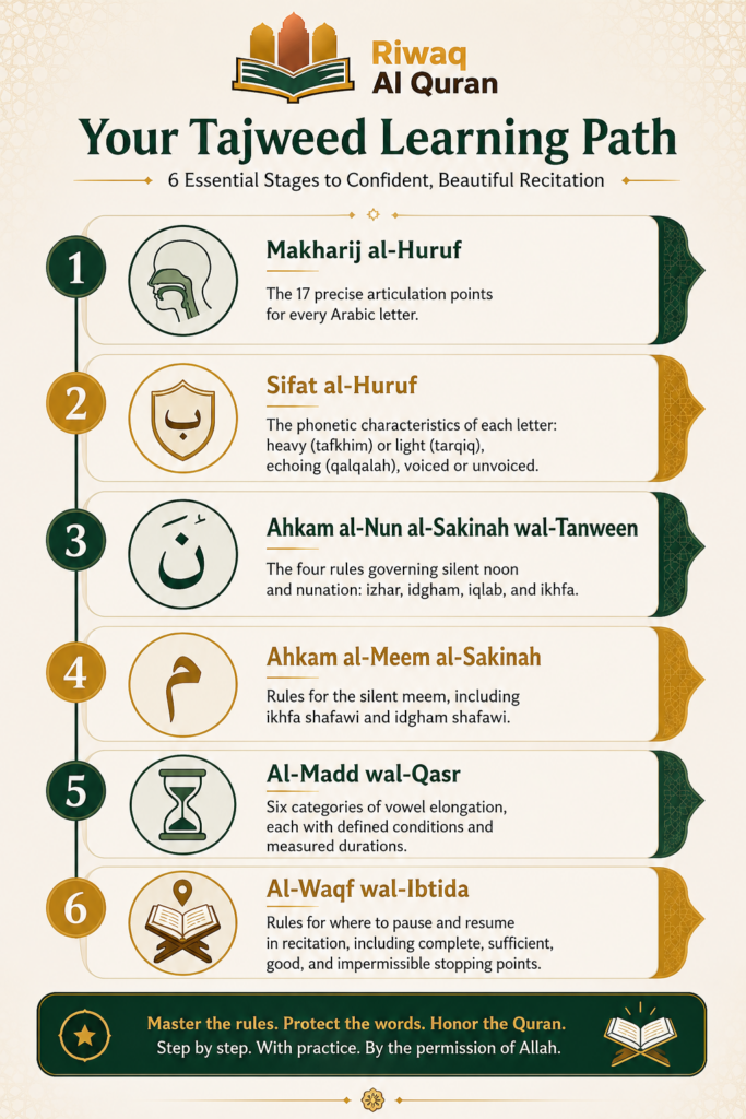 The Importance and Benefits of Tajweed Every Muslim Should Know 4 image 369