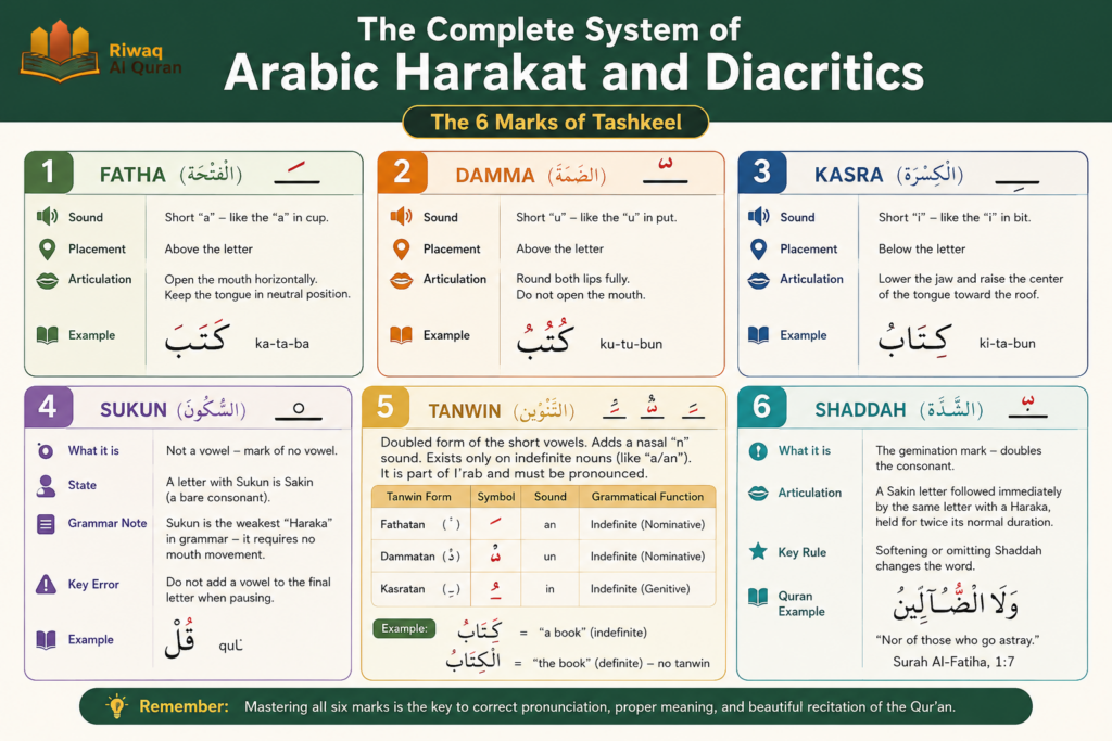 Harakat in Arabic - Meaning, Types, Rules, and Common Mistakes 2 image 373