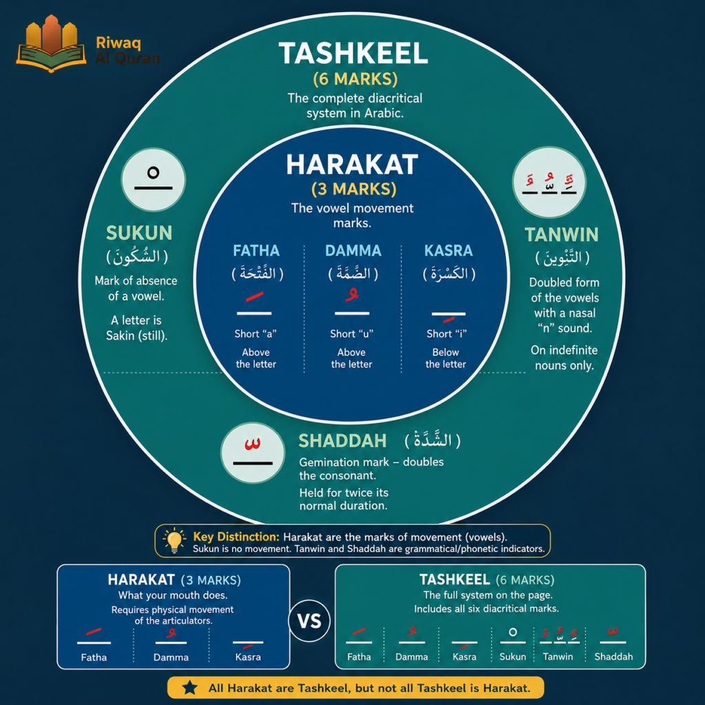 Harakat in Arabic - Meaning, Types, Rules, and Common Mistakes 3 image 374