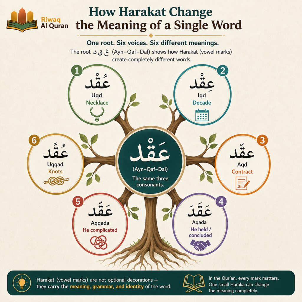Harakat in Arabic - Meaning, Types, Rules, and Common Mistakes 4 image 375