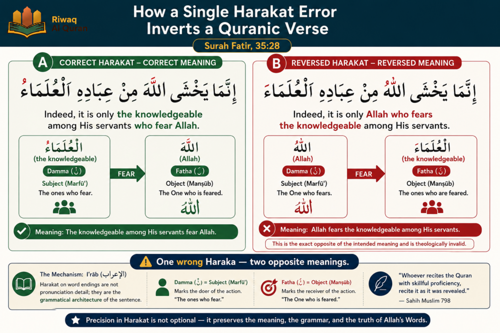 Harakat in Arabic - Meaning, Types, Rules, and Common Mistakes 5 image 376