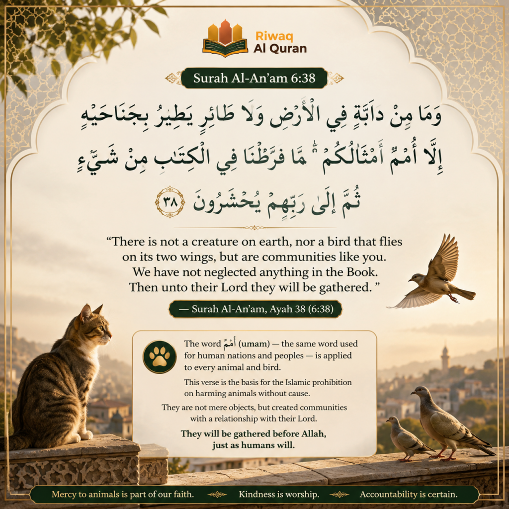 Cats in the Quran and Islam - What Every Muslim Pet Owner Should Know 2 image 381