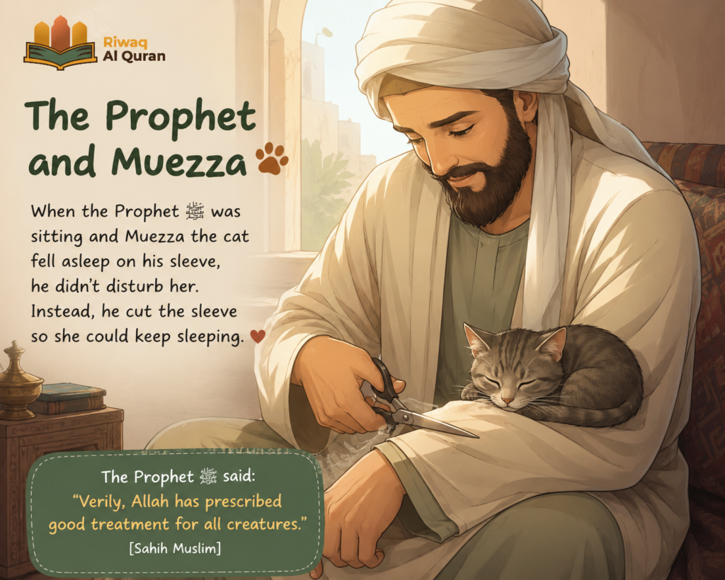 Cats in the Quran and Islam - What Every Muslim Pet Owner Should Know 3 image 382