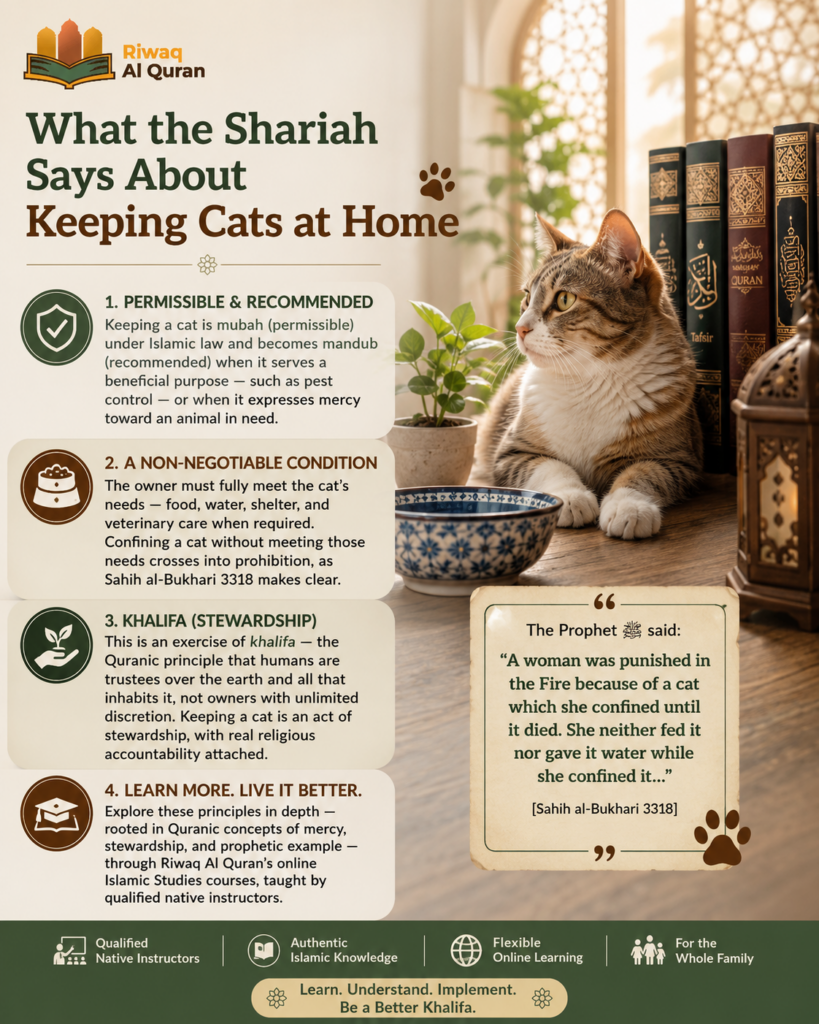Cats in the Quran and Islam - What Every Muslim Pet Owner Should Know 5 image 384