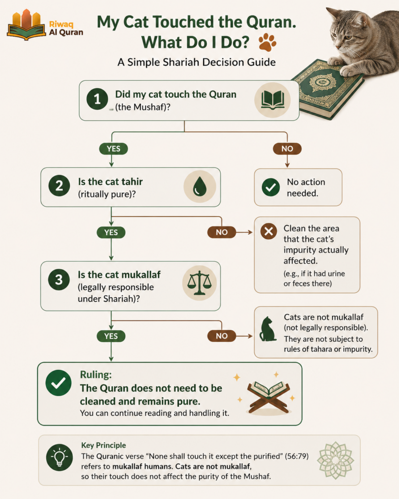 Cats in the Quran and Islam - What Every Muslim Pet Owner Should Know 7 image 386