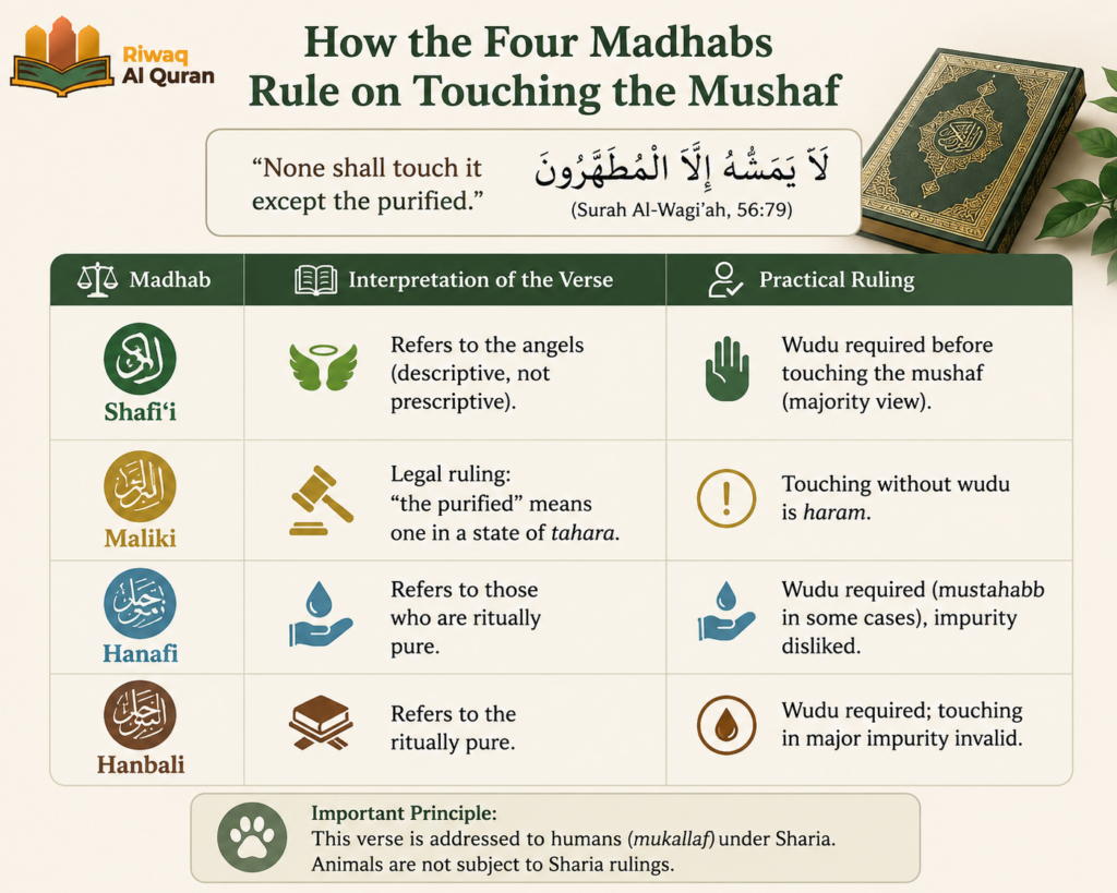 Cats in the Quran and Islam - What Every Muslim Pet Owner Should Know 6 image 388