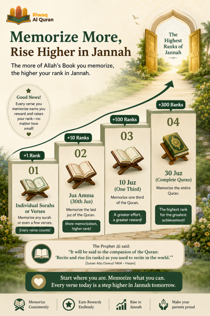 The Importance of Memorizing Quran - Spiritual, Cognitive, and Practical Benefits 1 image 390