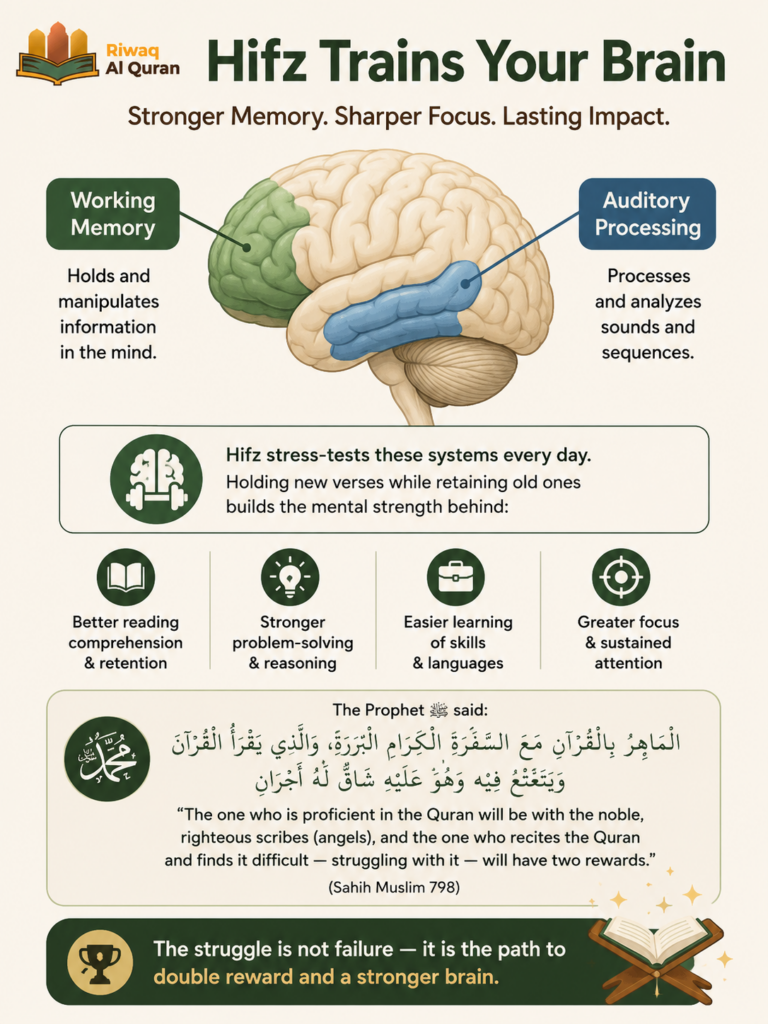 The Importance of Memorizing Quran - Spiritual, Cognitive, and Practical Benefits 2 image 391