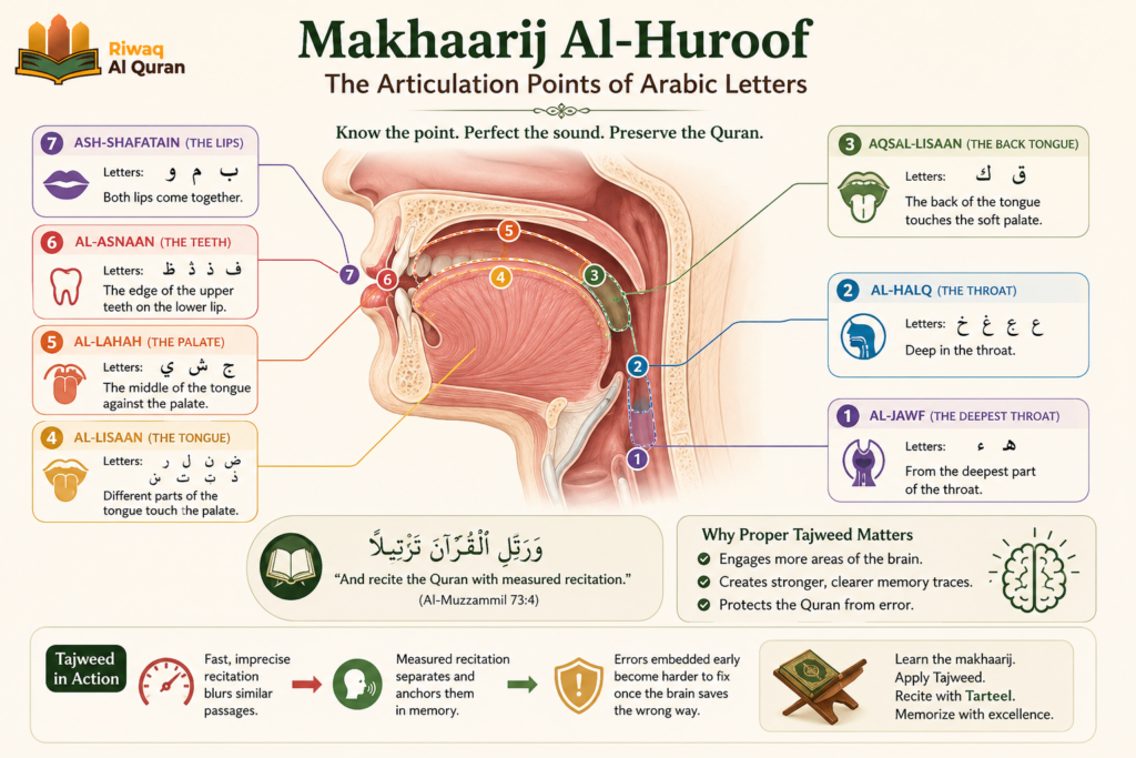 The Importance of Memorizing Quran - Spiritual, Cognitive, and Practical Benefits 3 image 392