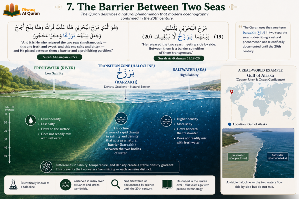 Top 20 Quranic Miracles - Scientific, Prophetic, and Linguistic 3 image 401