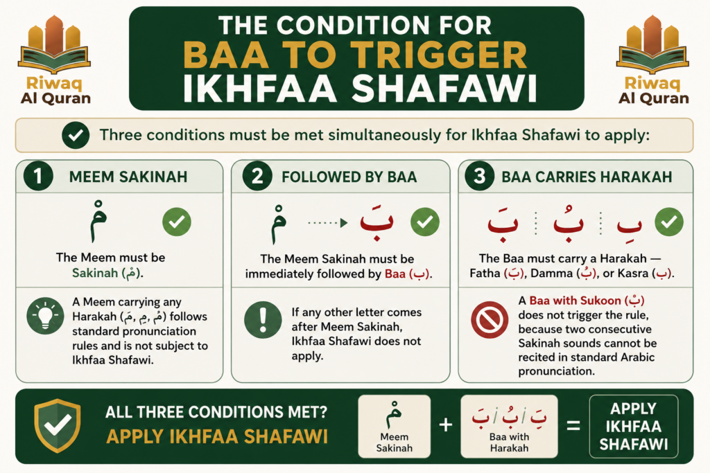 Ikhfaa Shafawi - Rules, Letters, Pronunciation, and Quran Examples 3 image 427