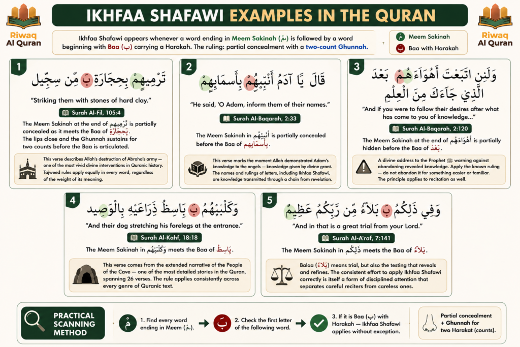 Ikhfaa Shafawi - Rules, Letters, Pronunciation, and Quran Examples 6 image 428