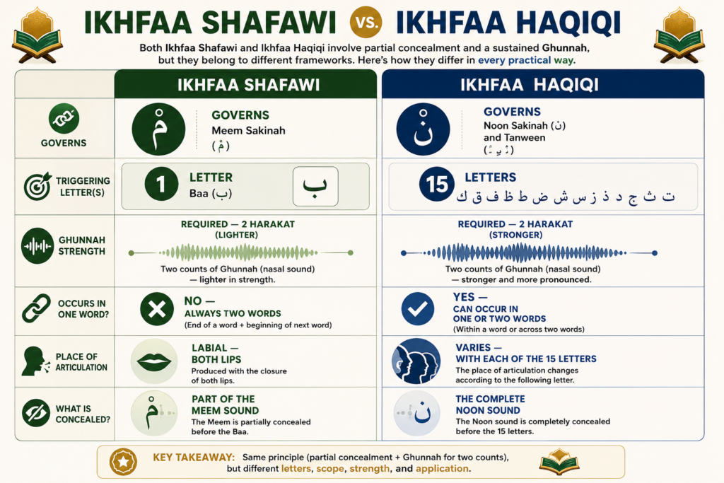 Ikhfaa Shafawi - Rules, Letters, Pronunciation, and Quran Examples 7 image 429
