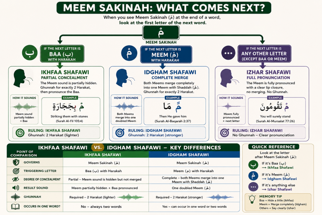 Ikhfaa Shafawi - Rules, Letters, Pronunciation, and Quran Examples 8 image 431