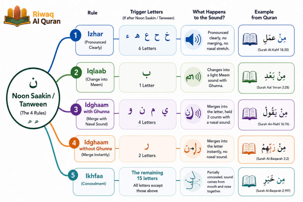 The 4 Noon Saakin Rules and Tanween with Easy Examples 4 image 444