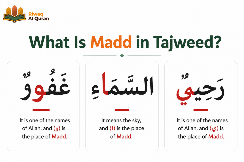 Types of Madd in Tajweed with Easy Examples And Charts 3 image 447