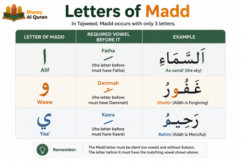 Types of Madd in Tajweed with Easy Examples And Charts 4 image 448