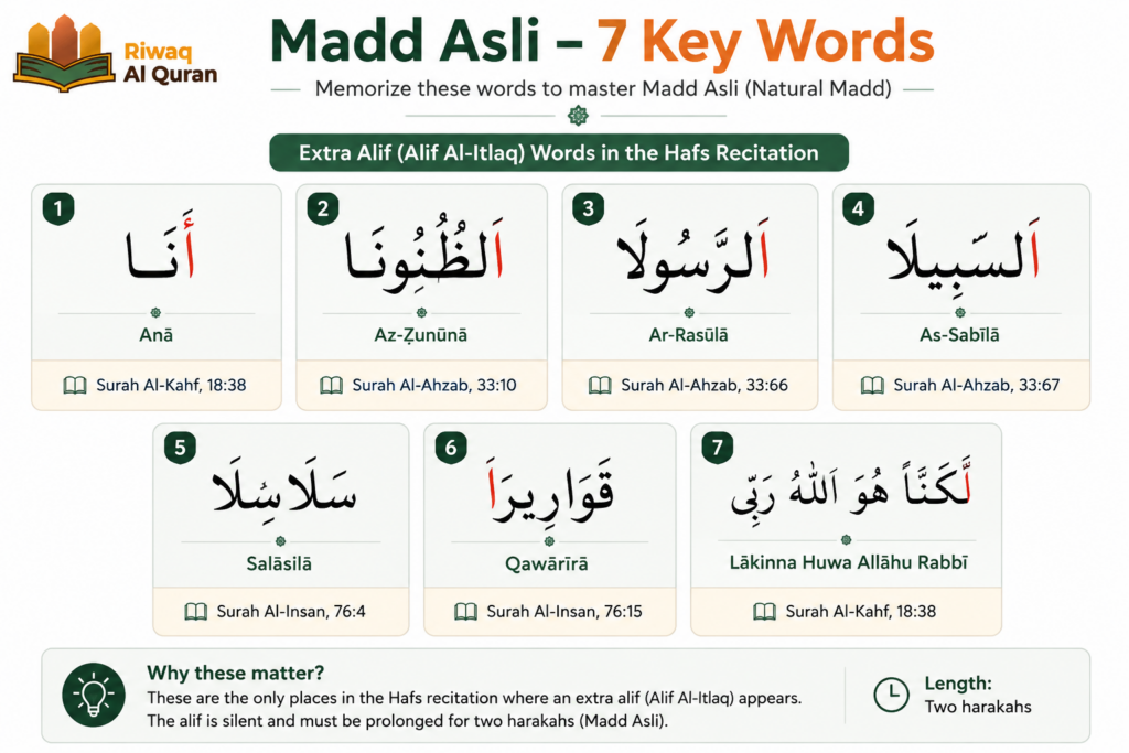 Types of Madd in Tajweed with Easy Examples And Charts 5 image 449