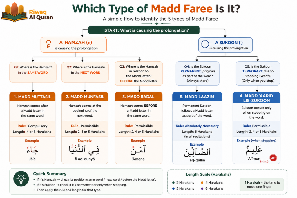 Types of Madd in Tajweed with Easy Examples And Charts 7 image 451