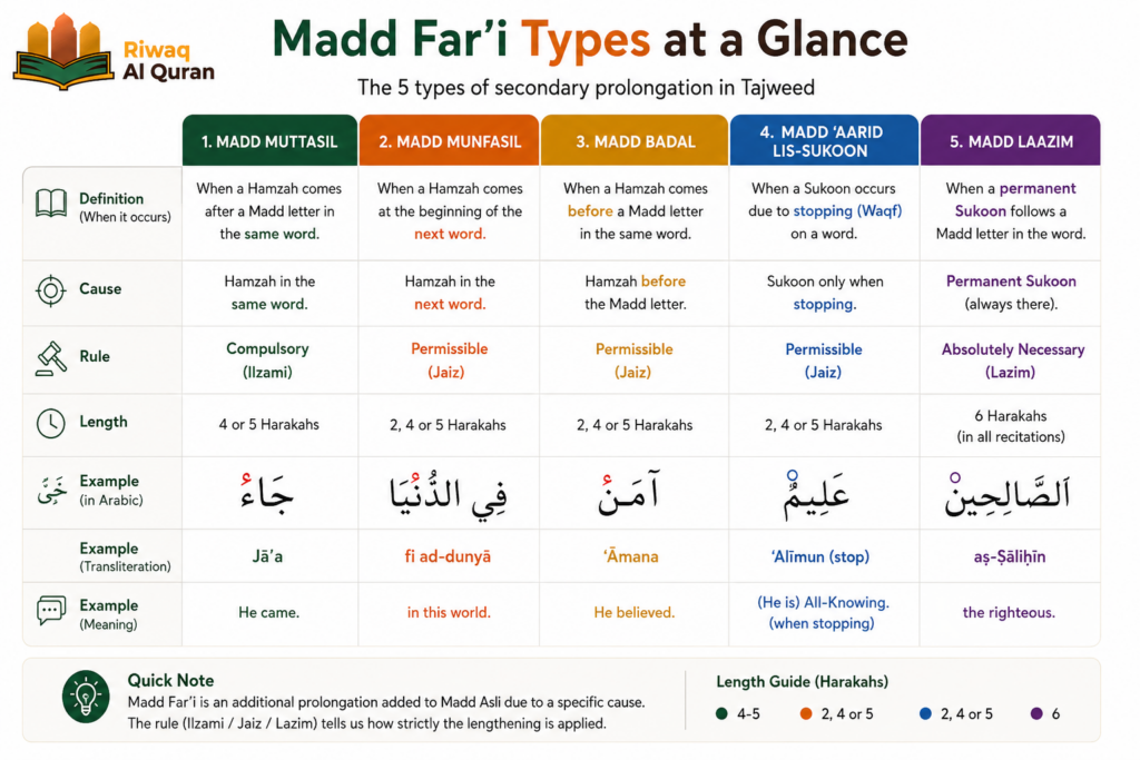 Types of Madd in Tajweed with Easy Examples And Charts 8 image 452