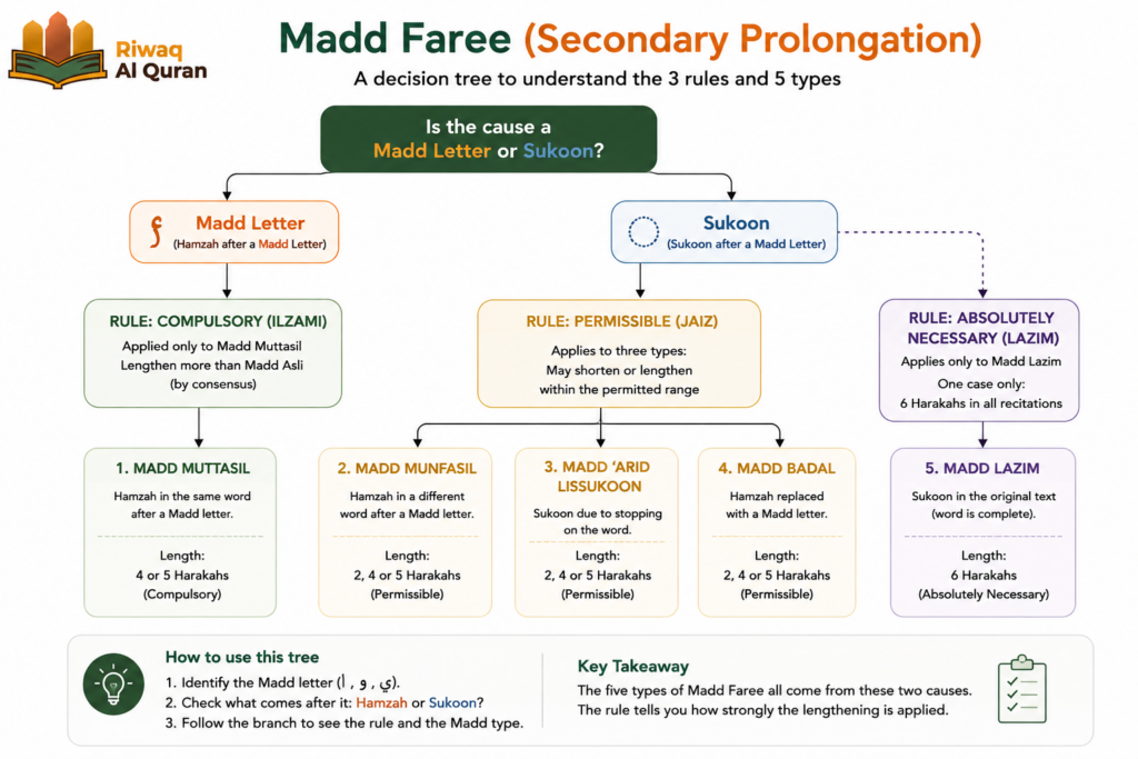 Types of Madd in Tajweed with Easy Examples And Charts 6 image 454