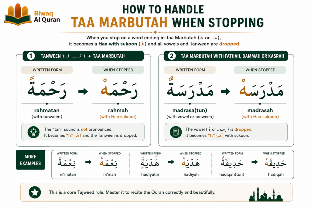 Quran Stop Signs (Waqf) - Every Symbol Explained with Quranic Examples 9 image 464