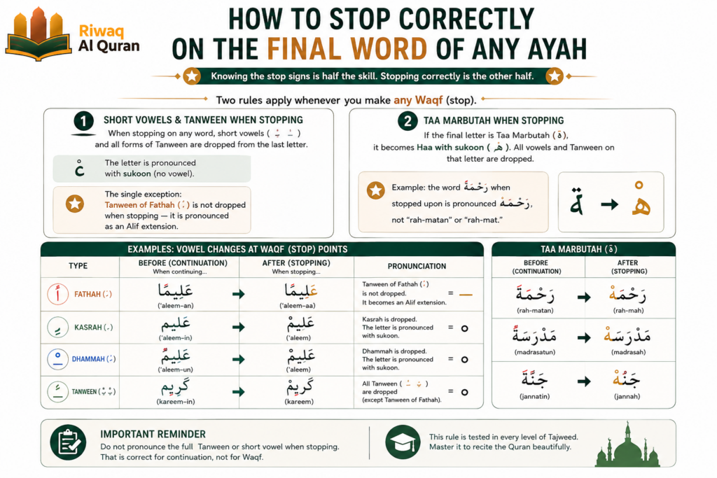 Quran Stop Signs (Waqf) - Every Symbol Explained with Quranic Examples 8 image 467