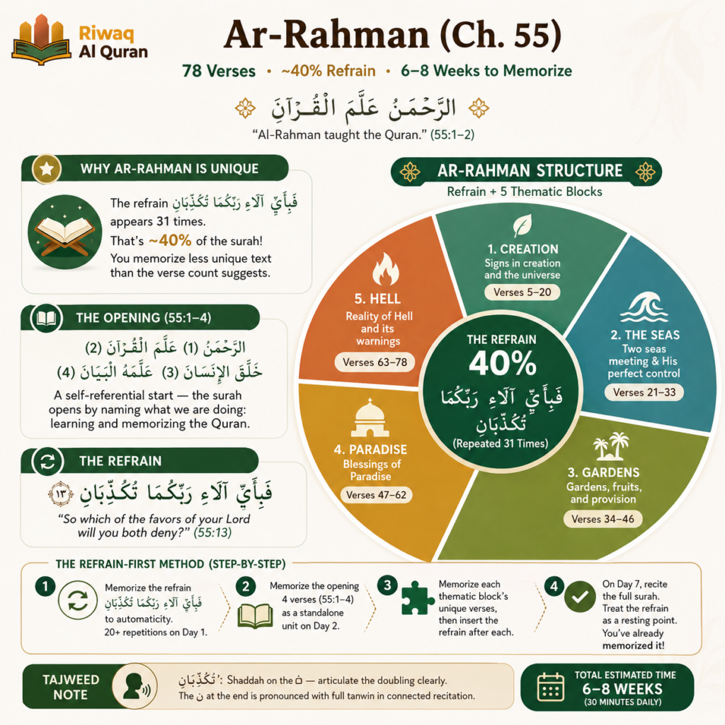 The Easiest Quran Surahs to Memorize — A Complete Beginner's Hifz Guide 4 image 520