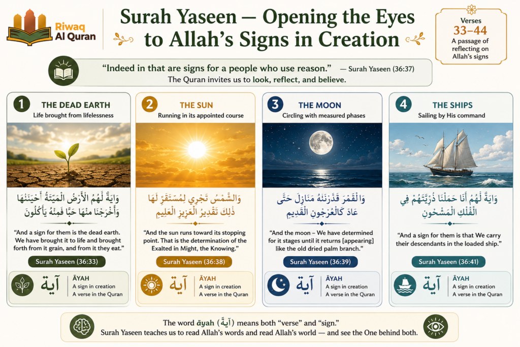 Surah Yaseen Benefits - 7 Spiritual Rewards Backed by Quran and Hadith 3 image 559