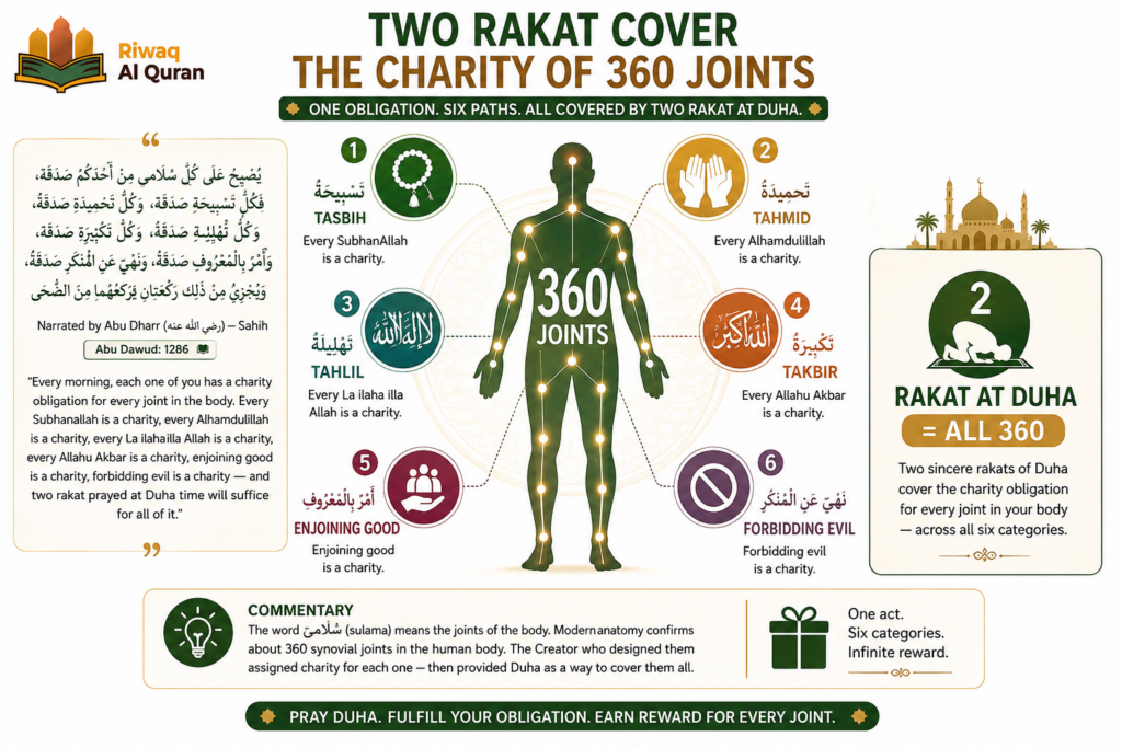 Duha Prayer - What It Is, How to Perform It, and Its Great Rewards 6 image 574