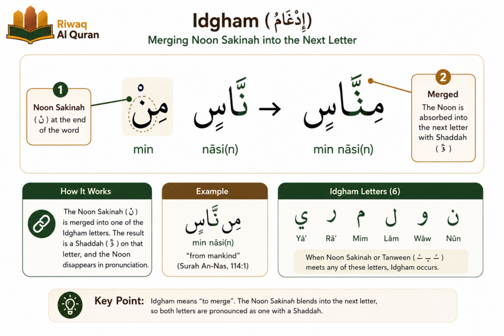 What Is Idgham in Tajweed? Types, Letters, and Quranic Examples 1 image 594