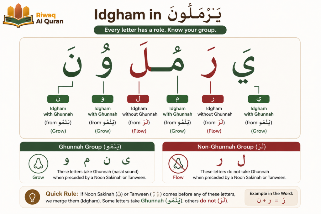 What Is Idgham in Tajweed? Types, Letters, and Quranic Examples 2 image 596