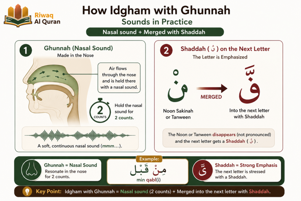 What Is Idgham in Tajweed? Types, Letters, and Quranic Examples 3 image 597