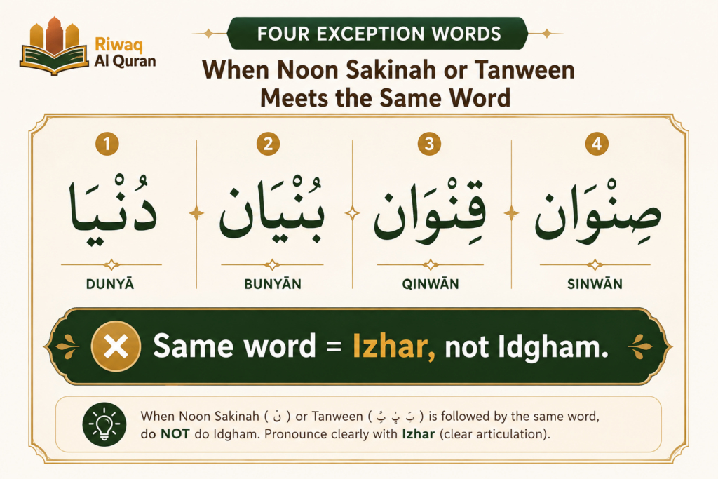 What Is Idgham in Tajweed? Types, Letters, and Quranic Examples 7 image 599