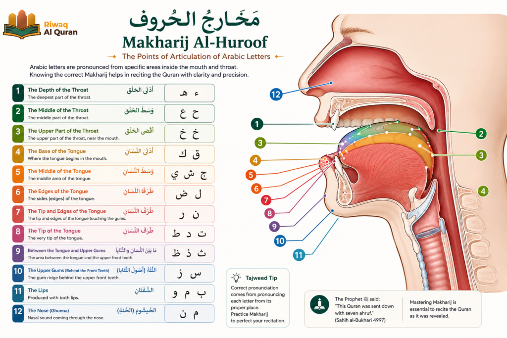 Rules of Reading the Quran - Manners, Etiquettes 2 image 611
