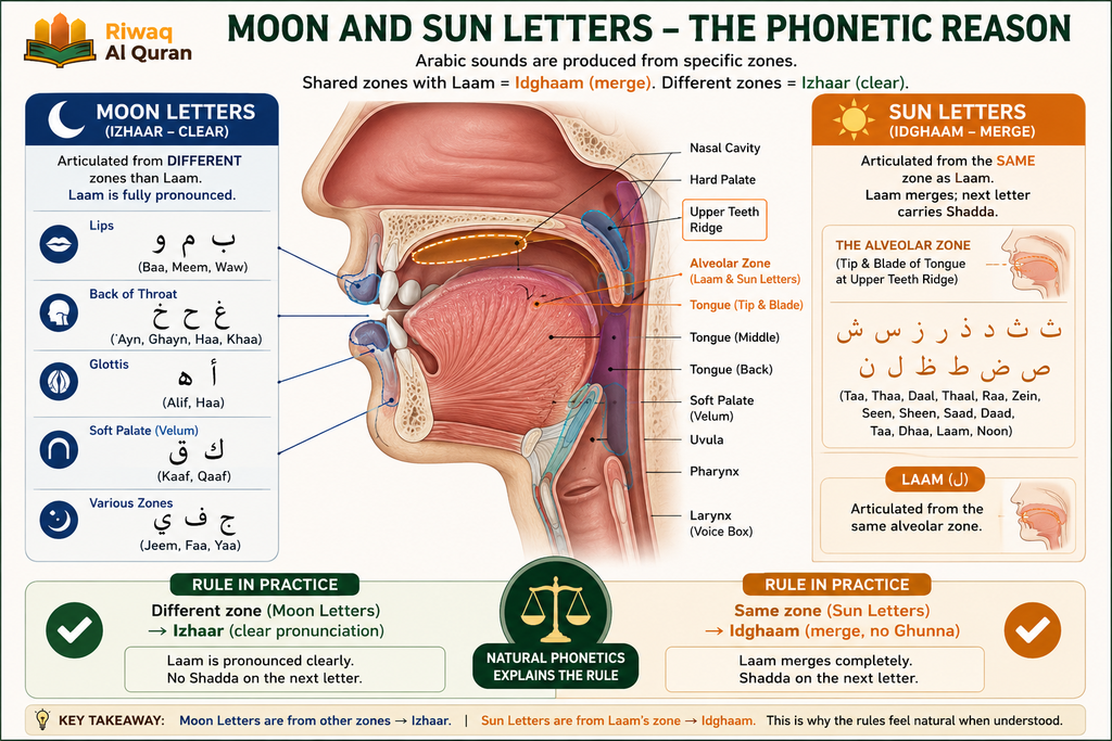 The 5 Laam Sakinah Rules - A Complete Tajweed Guide 3 image 710