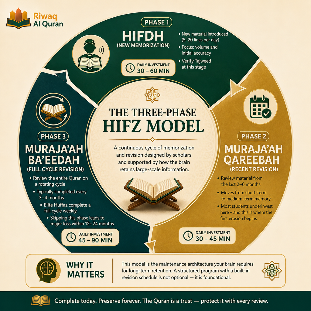 How Many Hafiz Are in the World? The Complete Guide 9 image 723