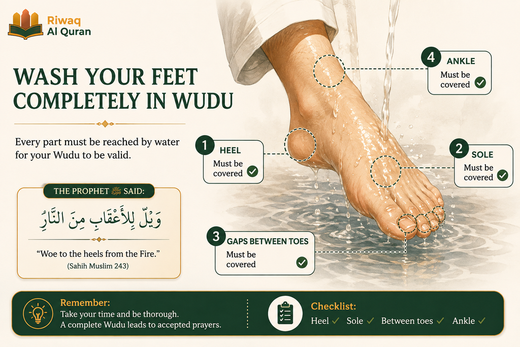 The Sunnah of Wudu - 17 Recommended Acts & the 6 Pillars That Make It Valid 6 image 729