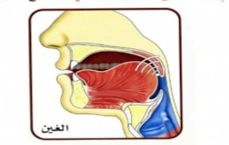 The Makhraj (Articulation Point) of Ghayn
